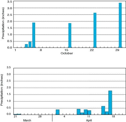 Precipitation Graphs