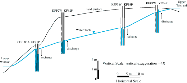 Keene Forestry Park Cross Section