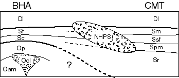 figure2.gif